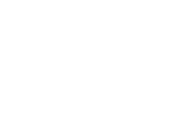 The DataFace